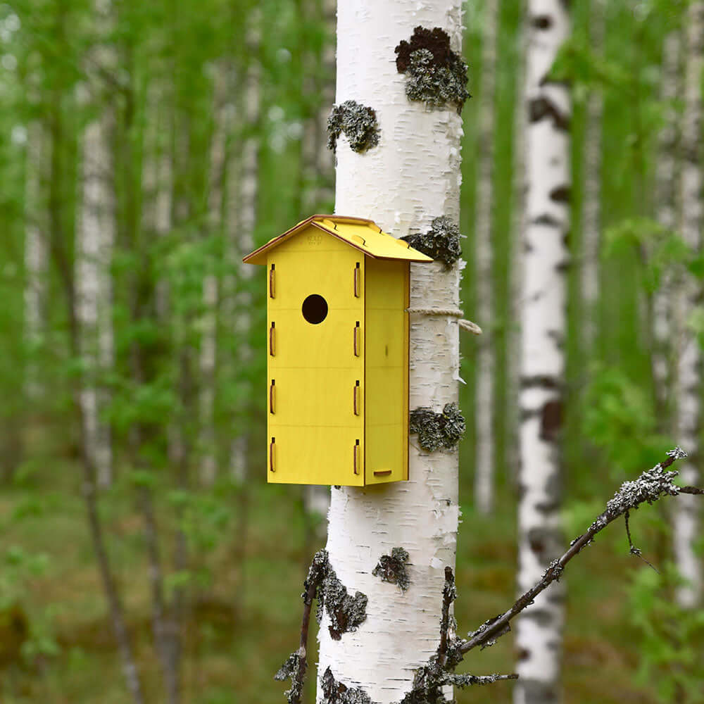 Minkä kokoinen aukko mille linnulle?