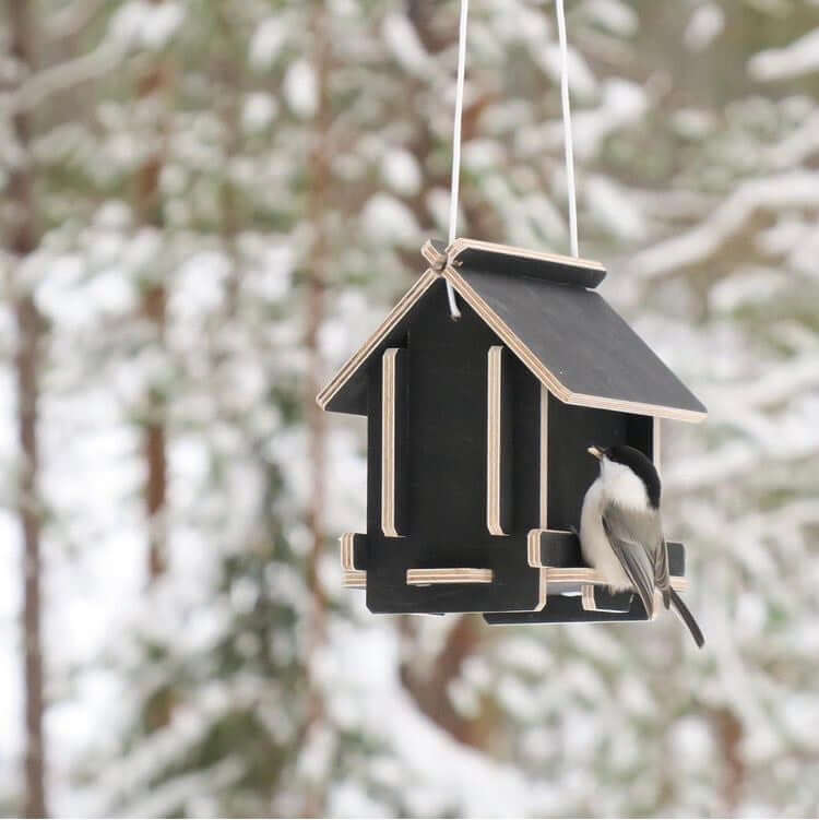 Millainen lintulauta kannattaa hankkia?