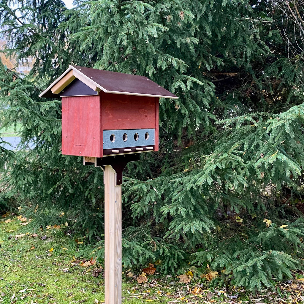 Voiko lintuja bongata pihalta?