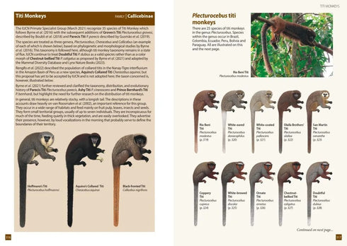A Field Guide to the Larger Mammals of South America - Richard Webb and Jeff Blincow 2024