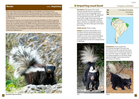 A Field Guide to the Larger Mammals of South America - Richard Webb and Jeff Blincow 2024