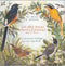 Les plus beaux chants d'oiseaux CD - Roche, J. 1991. Kauneimmat linnunlaulut - 24 lajia