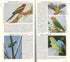 Birds of New Guinea and the Bismarck Archipelago - A Photographic Guide -  Brian J. Coates 2001