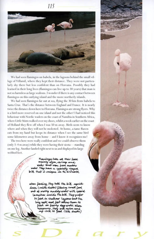 Galápagos Diary A Complete Guide to the Archipelago's Birdlife - Heinzel,H. 2000
