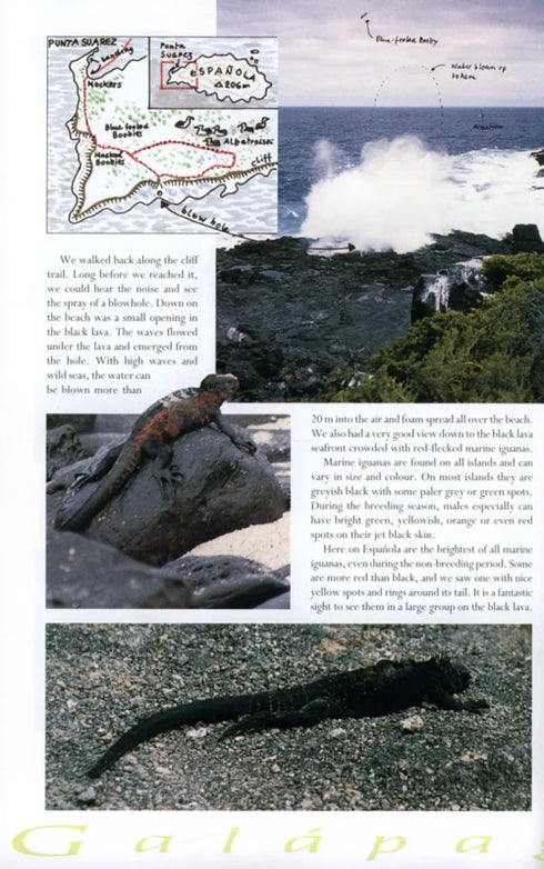 Galápagos Diary A Complete Guide to the Archipelago's Birdlife - Heinzel,H. 2000