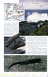 Galápagos Diary A Complete Guide to the Archipelago's Birdlife - Heinzel,H. 2000