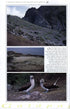 Galápagos Diary A Complete Guide to the Archipelago's Birdlife - Heinzel,H. 2000