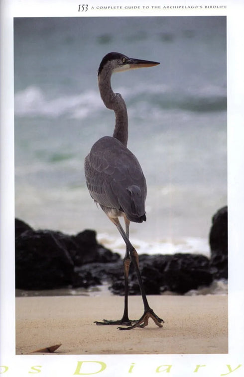 Galápagos Diary A Complete Guide to the Archipelago's Birdlife - Heinzel,H. 2000