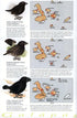 Galápagos Diary A Complete Guide to the Archipelago's Birdlife - Heinzel,H. 2000