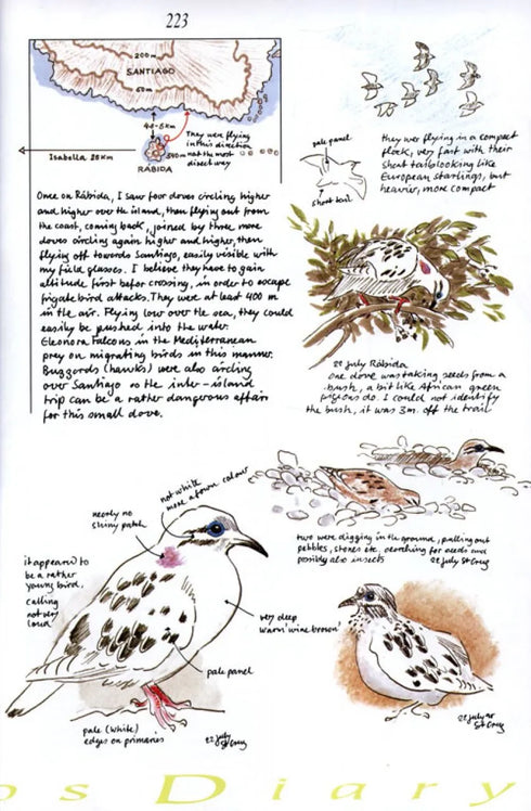 Galápagos Diary A Complete Guide to the Archipelago's Birdlife - Heinzel,H. 2000