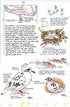 Galápagos Diary A Complete Guide to the Archipelago's Birdlife - Heinzel,H. 2000