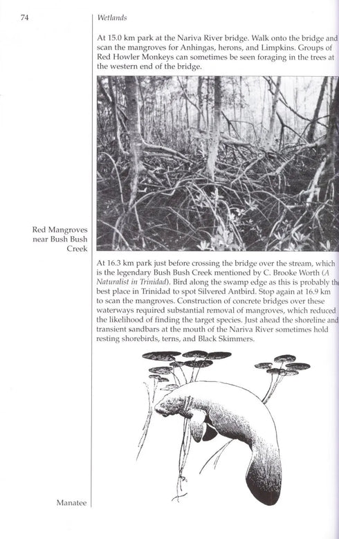 A Birwatchers’ Guide to Trinidad & Tobago - Murphy, W. 2004