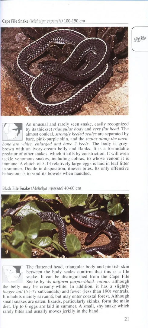 A Photographic Guide to Snakes and other Reptiles of Southern Africa - Bill Branch & Peacock 2002