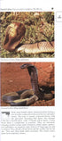A Photographic Guide to Snakes and other Reptiles of Southern Africa - Bill Branch & Peacock 2002