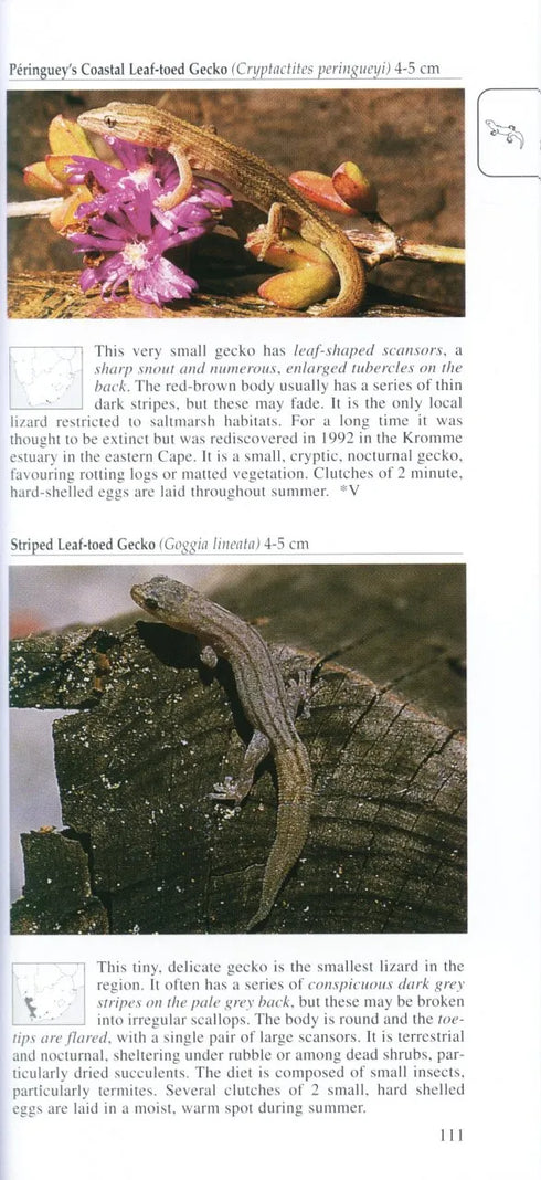 A Photographic Guide to Snakes and other Reptiles of Southern Africa - Bill Branch & Peacock 2002