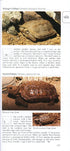 A Photographic Guide to Snakes and other Reptiles of Southern Africa - Bill Branch & Peacock 2002