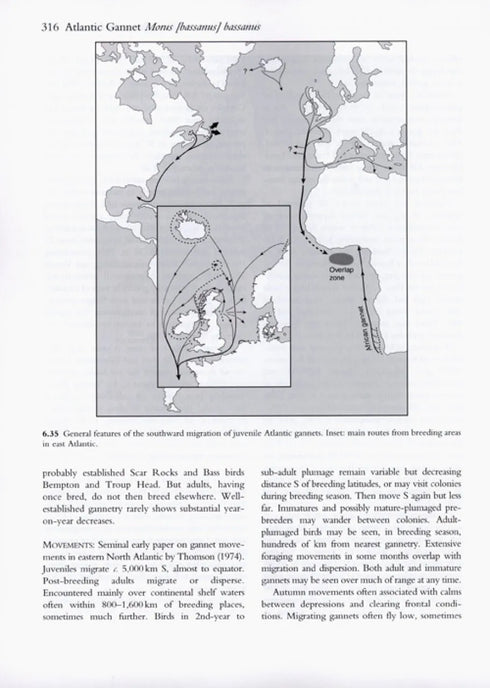 Pelicans, Comorants and their Relatives - The Pelicaniformes - Nelson,B.J. 2006