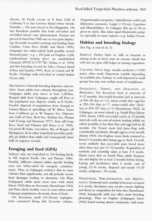 Pelicans, Comorants and their Relatives - The Pelicaniformes - Nelson,B.J. 2006