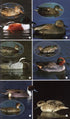 Birds of the Mediterranean A Photographic Guide -  Paul Sterry 2004