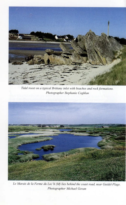 A Birdwatching Guide to Brittany - Coghlan,S. 2003