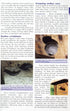 The BTO Nestbox Guide, linnunpönttö-opas - Chris du Feu 2003