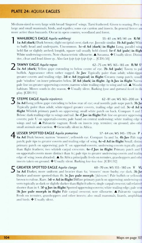 Field Guide to the Birds of Western Africa - Borrow, N. & Demey, R. 2004