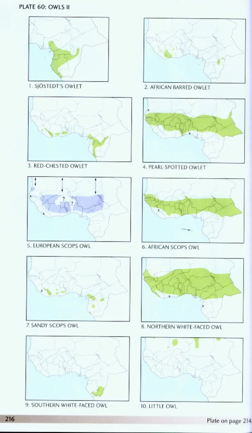 Field Guide to the Birds of Western Africa - Borrow, N. & Demey, R. 2004