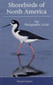 Shorebirds of North America. The Photographic Guide - Paulson, D. 2005