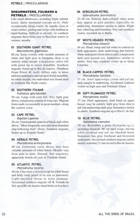 All the birds of Brazil - Souza, D. 2006