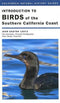 Introduction to Birds of the Southern California Coast - Lentz,J.E. 2006