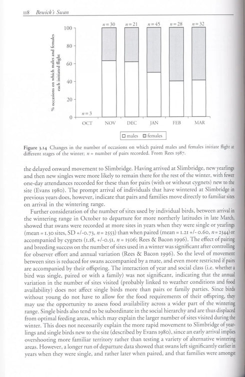 Bewick´s Swan - Rees,E. 2006
