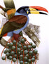 Toucans of the Americas - Tucanos - Tucanos das Americas - Alvarenga,H. & Brettas,E. 2004
