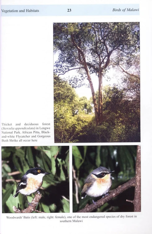 The Birds of Malawi - Francoise Dowsett-Lemaire 2006