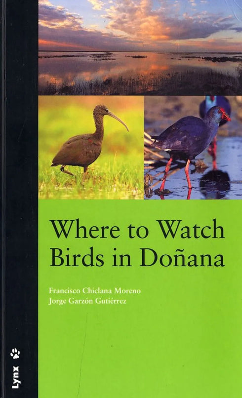 Where to Watch Birds in Doñana - Francisco Chiclana Moreno (2006)