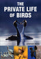 The Private Life of Birds (Moss) 2006