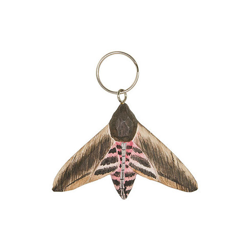 Avaimenperä sireenikiitäjä