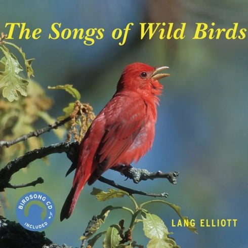The Songs of Wild Birds, Elliott, L. 2006