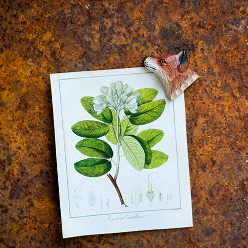 Jääkaappimagneetti Kettu WG