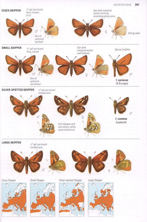 Collins Butterfly Guide - the most complete guide to the butterflies of Britain and Europe - Tolman,T. 2009