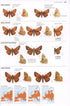 Collins Butterfly Guide - the most complete guide to the butterflies of Britain and Europe - Tolman,T. 2009
