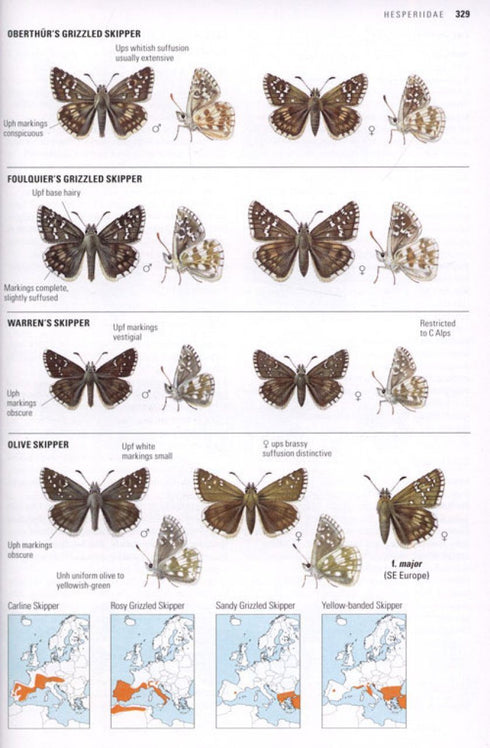 Collins Butterfly Guide - the most complete guide to the butterflies of Britain and Europe - Tolman,T. 2009