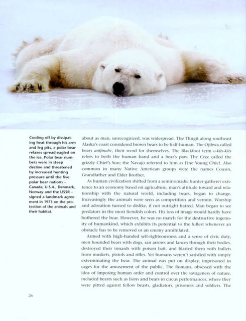 Bears A Year in the Life - Breiter.M. 2007