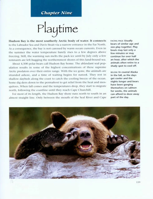 Bears A Year in the Life - Breiter.M. 2007