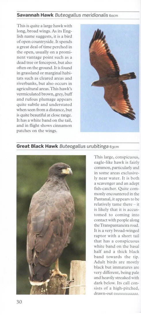 A Photographic Guide to Birds of Southern Brazil including the Pantanal and Atlantic Forest -Byers 2008