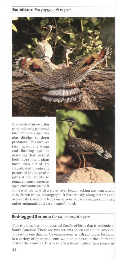 A Photographic Guide to Birds of Southern Brazil including the Pantanal and Atlantic Forest -Byers 2008