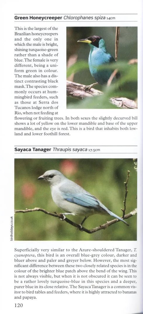 A Photographic Guide to Birds of Southern Brazil including the Pantanal and Atlantic Forest -Byers 2008