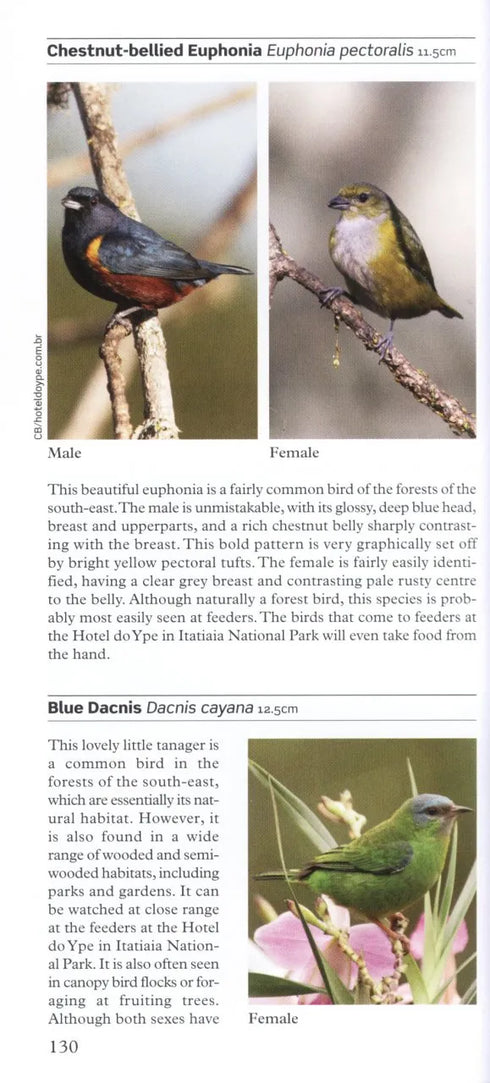 A Photographic Guide to Birds of Southern Brazil including the Pantanal and Atlantic Forest -Byers 2008