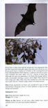 A Photographic Guide to Mammals of Sri Lanka - Wijeyeratne 2008