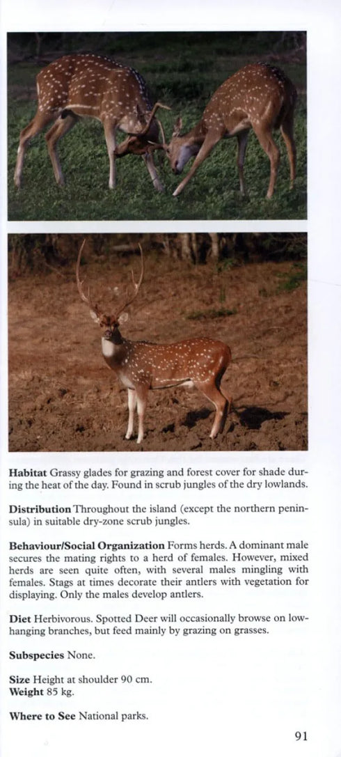 A Photographic Guide to Mammals of Sri Lanka - Wijeyeratne 2008