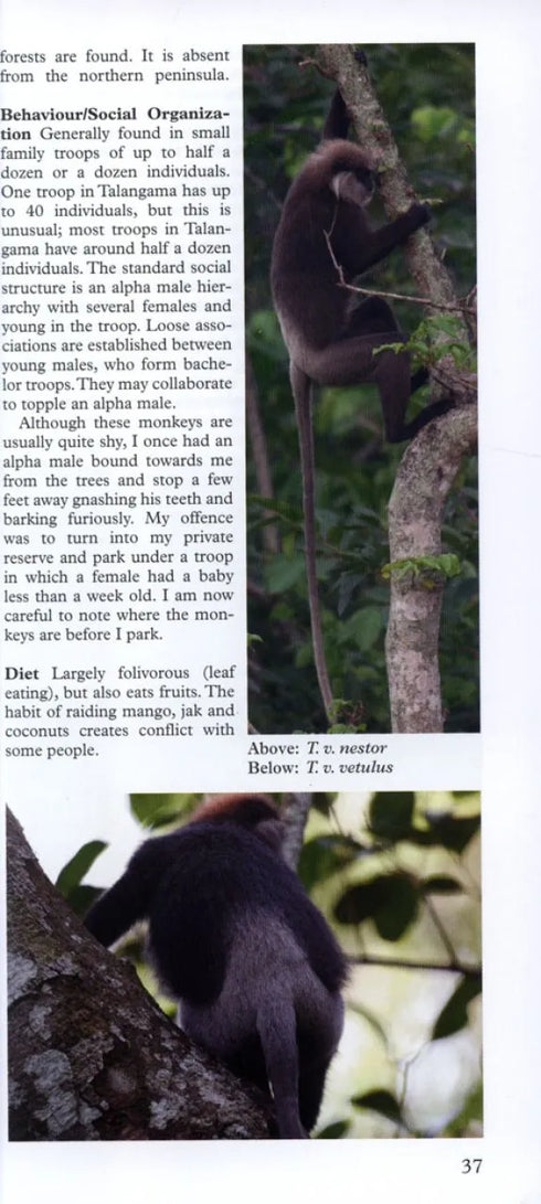 A Photographic Guide to Mammals of Sri Lanka - Wijeyeratne 2008